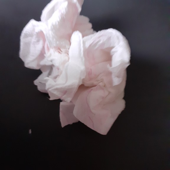 recycle4.me: original_20230616_185021.jpg