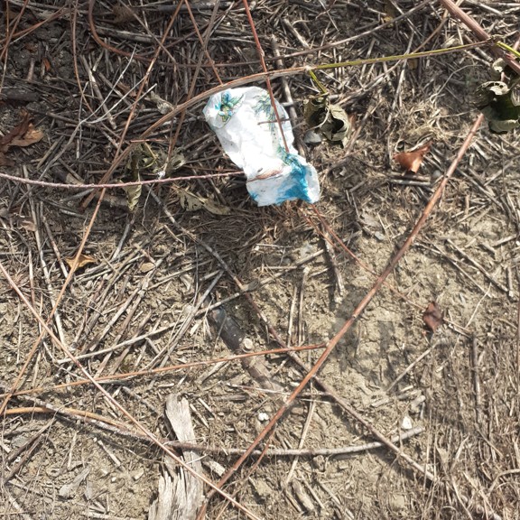 recycle4.me: original_20230704_161823.jpg