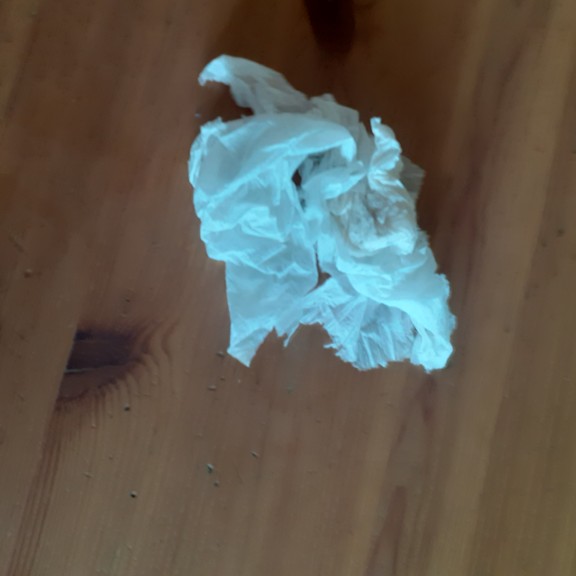 recycle4.me: original_20230621_142747.jpg