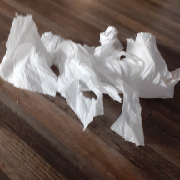 recycle4.me: original_20230616_213100.jpg