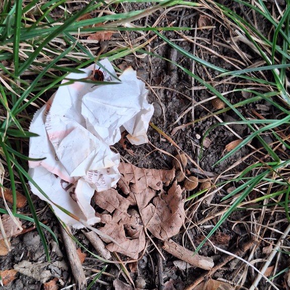 recycle4.me: original_20230804_195455.jpg