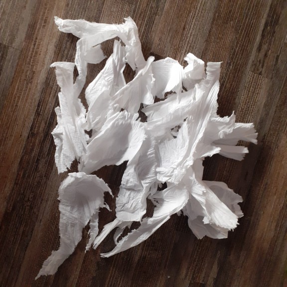 recycle4.me: original_20230616_213159.jpg