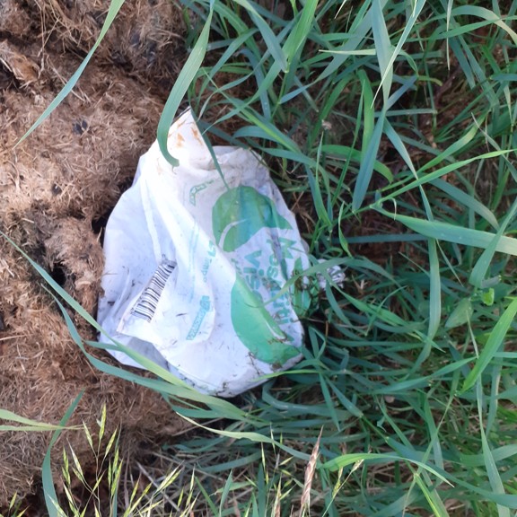 recycle4.me: original_20230702_210223.jpg