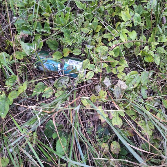 recycle4.me: original_20230803_204211.jpg