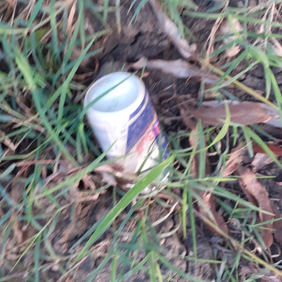 recycle4.me: original_20230702_210546.jpg