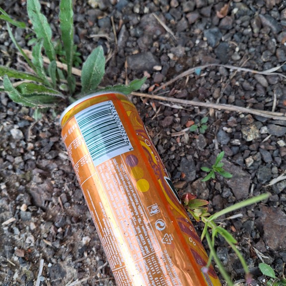 recycle4.me: original_20230807_202515.jpg