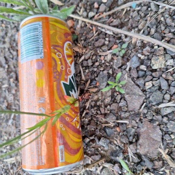 recycle4.me: original_20230807_202513.jpg