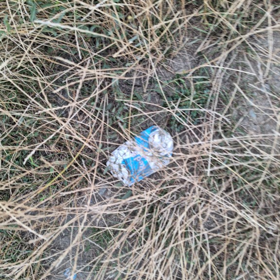 recycle4.me: original_20230801_204821.jpg