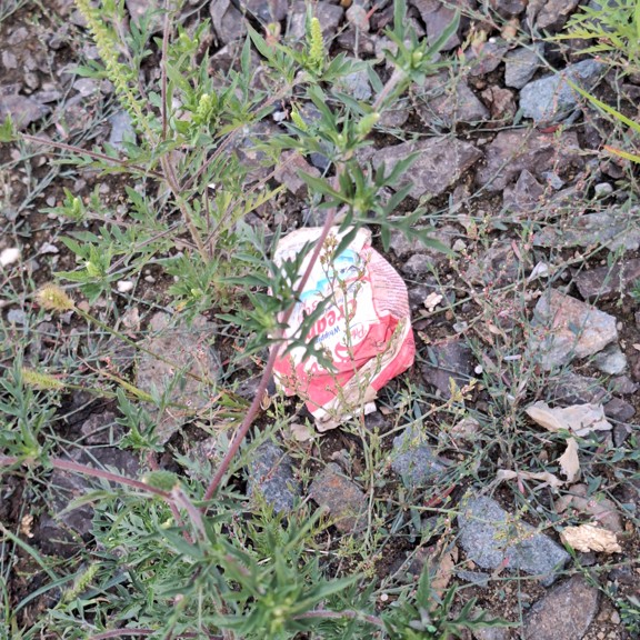 recycle4.me: original_20230807_203440.jpg