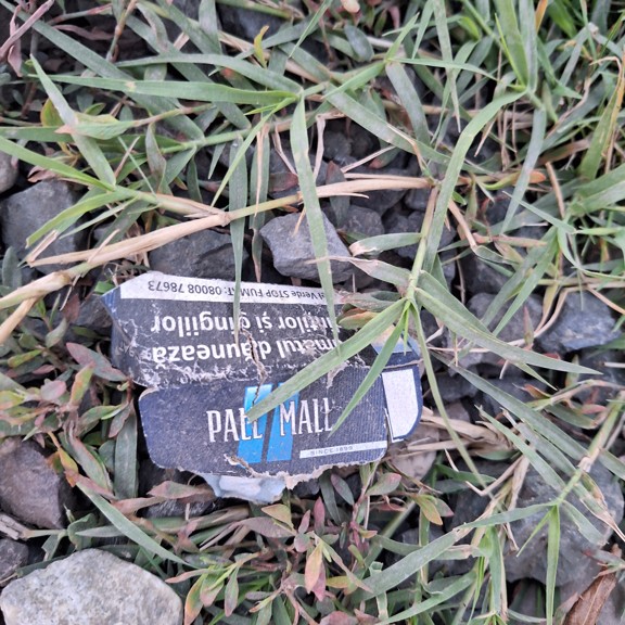 recycle4.me: original_20230801_205619.jpg