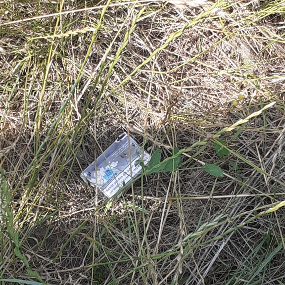 recycle4.me: original_20230704_163510.jpg
