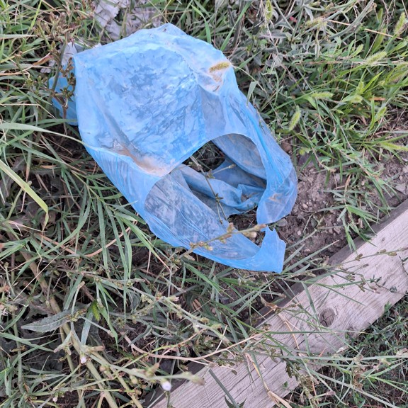recycle4.me: original_20230801_205421.jpg
