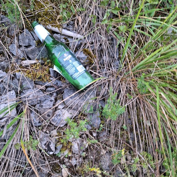 recycle4.me: original_20230803_204227.jpg