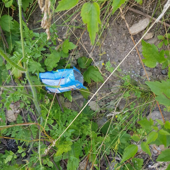 recycle4.me: original_IMG-20230711-WA0004.jpg