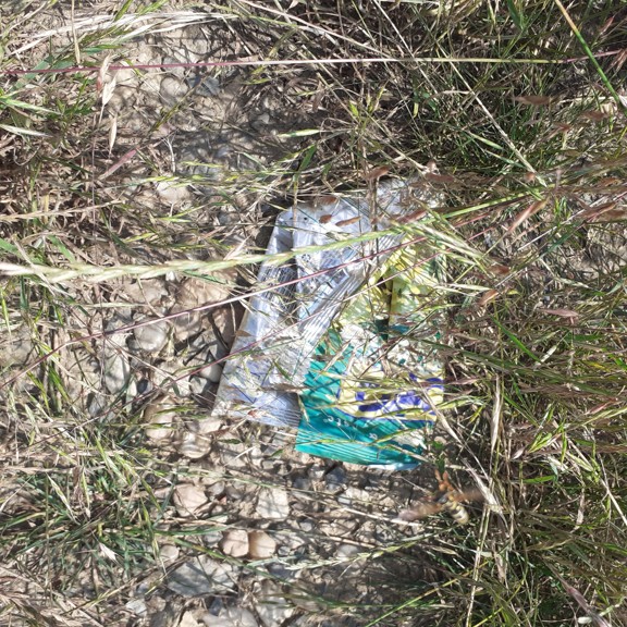 recycle4.me: original_20230704_162836.jpg