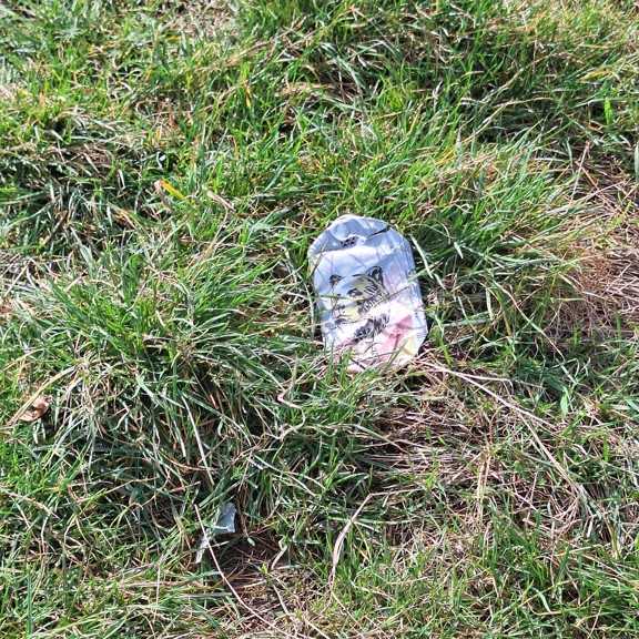 recycle4.me: original_20240225_121543.jpg