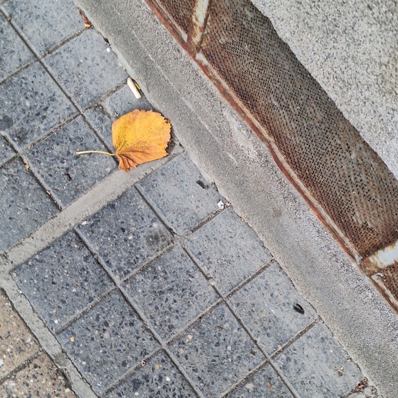 recycle4.me: original_20231020_141540.jpg