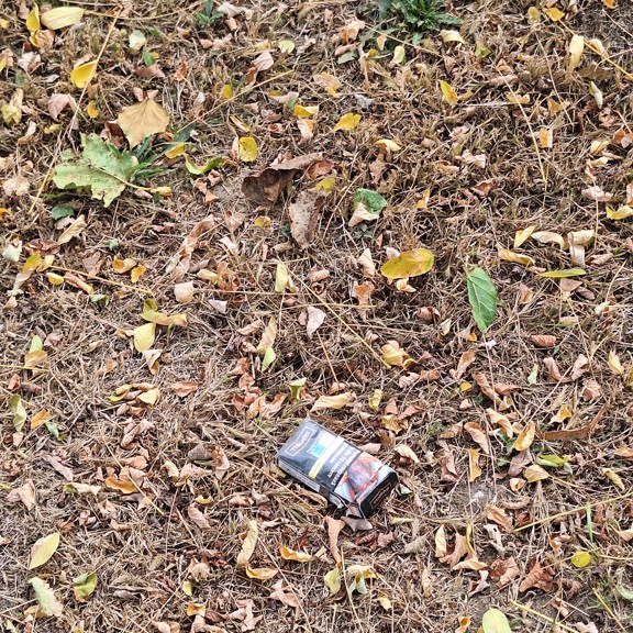 recycle4.me: original_20231020_141037.jpg