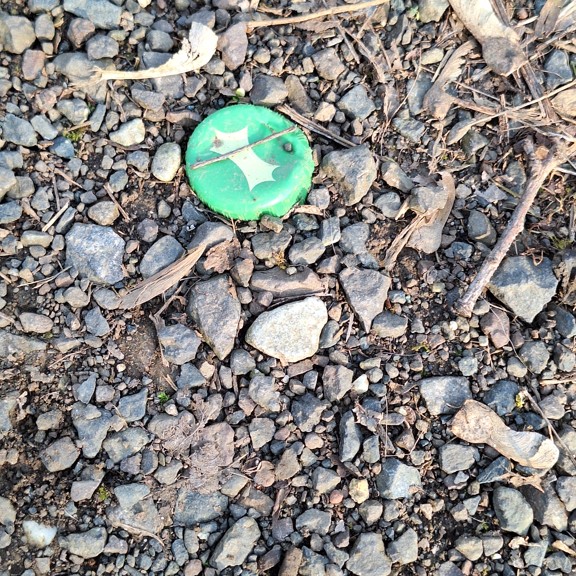 recycle4.me: original_20240225_160551.jpg