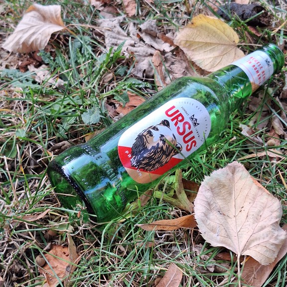 recycle4.me: original_20231013_165251.jpg