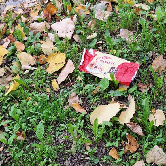 recycle4.me: original_20231020_144017.jpg