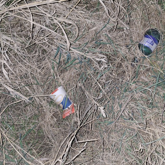 recycle4.me: original_20240222_201006.jpg