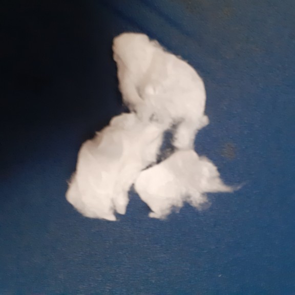 recycle4.me: original_20230702_175614.jpg