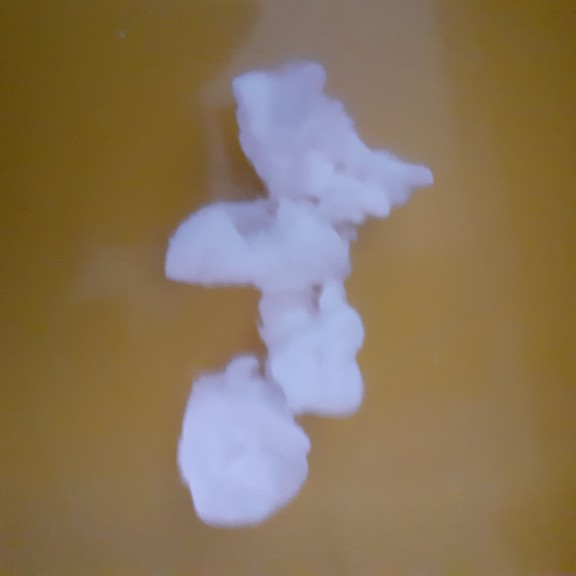 recycle4.me: original_20230702_175636.jpg