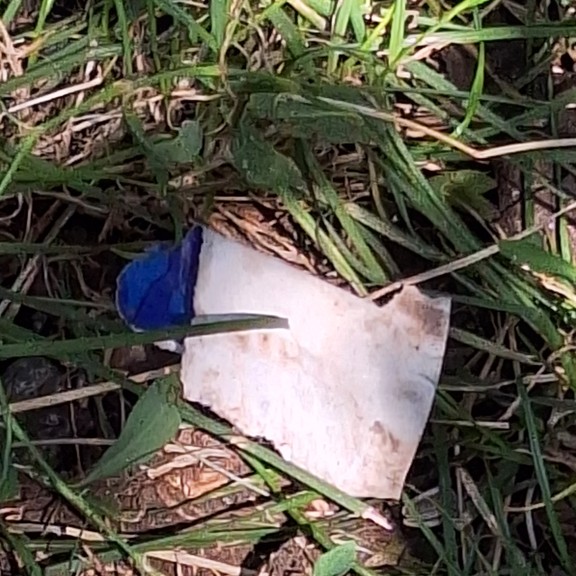 recycle4.me: original_20230804_121045.jpg