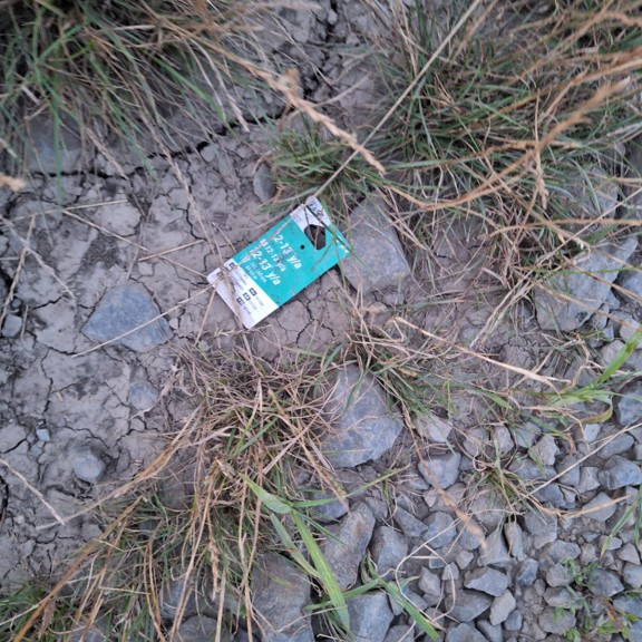 recycle4.me: original_20230801_211353.jpg