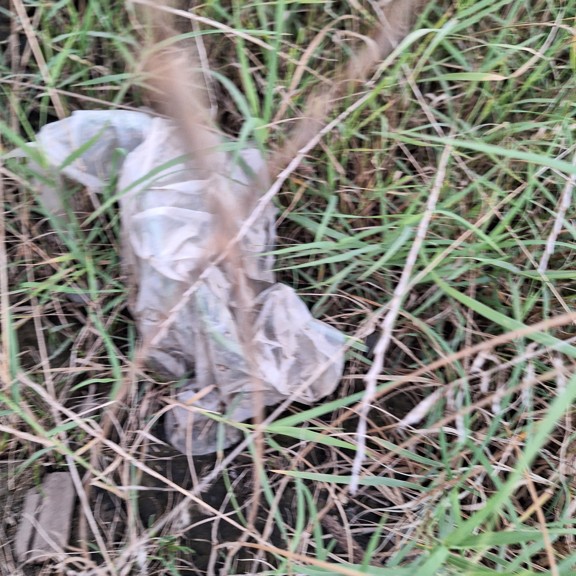 recycle4.me: original_20230807_201941.jpg