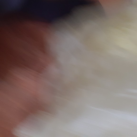 recycle4.me: original_20230617_082056.jpg