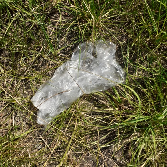 recycle4.me: original_20230704_162729.jpg