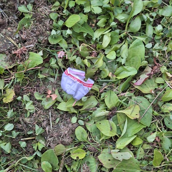 recycle4.me: original_20230803_205901.jpg