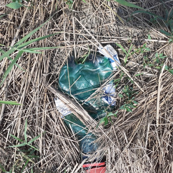 recycle4.me: original_20230704_163042.jpg
