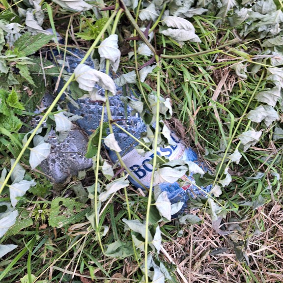 recycle4.me: original_20230803_201744.jpg