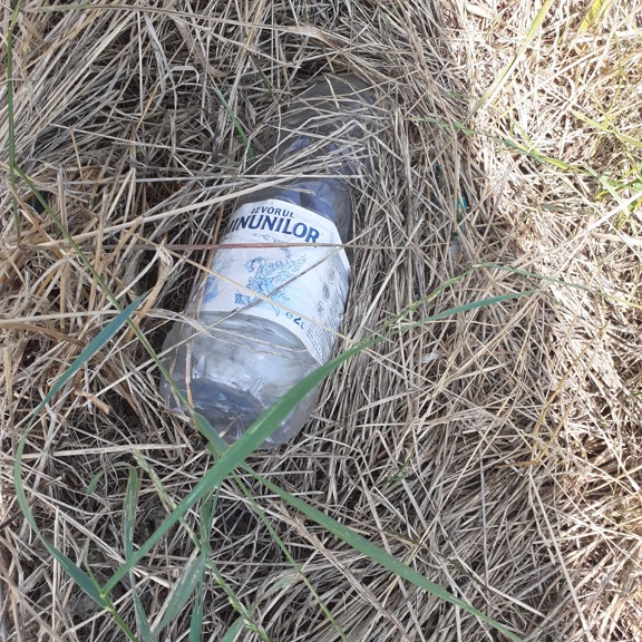 recycle4.me: original_20230704_163156.jpg