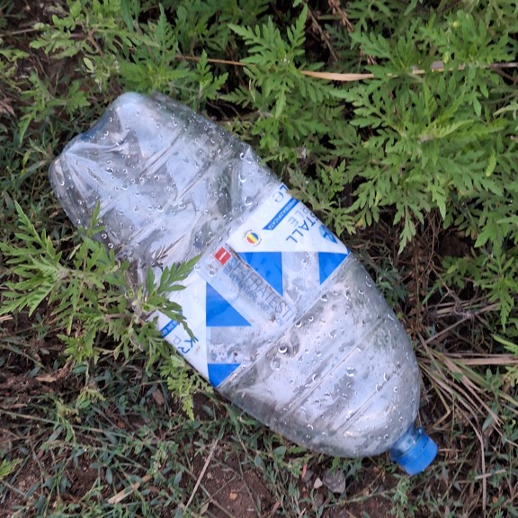 recycle4.me: original_20230807_203355.jpg