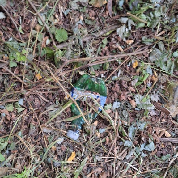 recycle4.me: original_20230803_204828.jpg