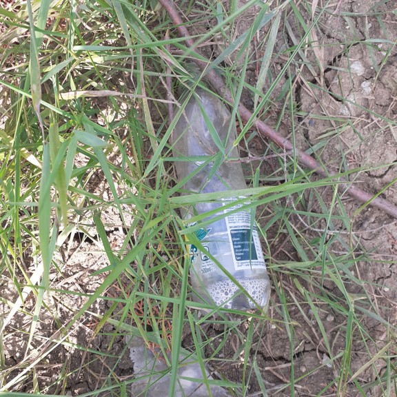 recycle4.me: original_20230704_162221.jpg