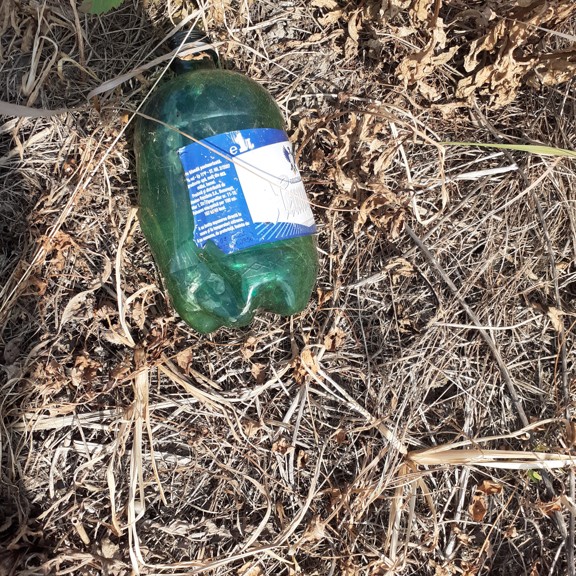 recycle4.me: original_20230704_163251.jpg