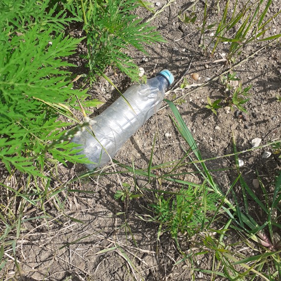 recycle4.me: original_20230704_162146.jpg