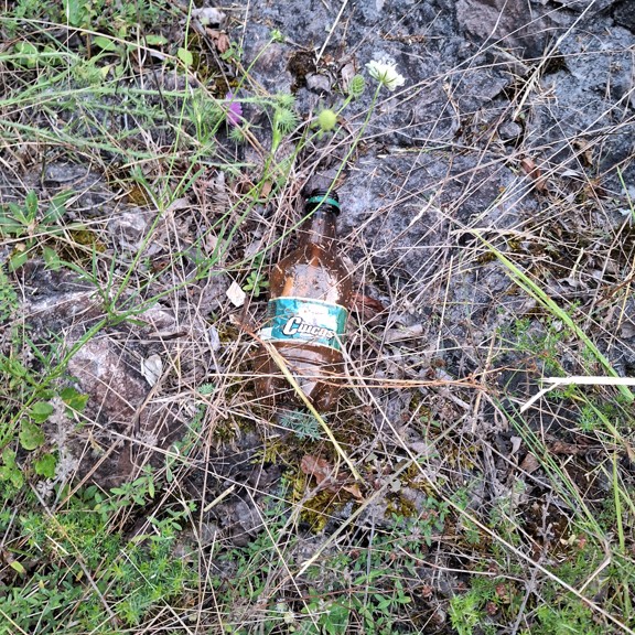 recycle4.me: original_20230803_203729.jpg