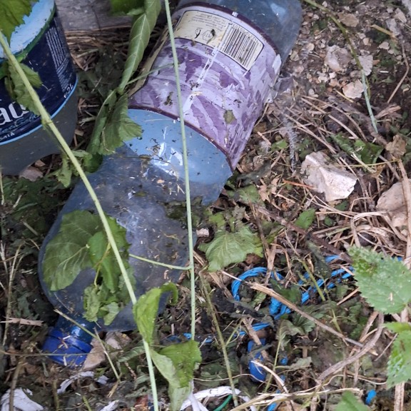 recycle4.me: original_20230803_205019.jpg