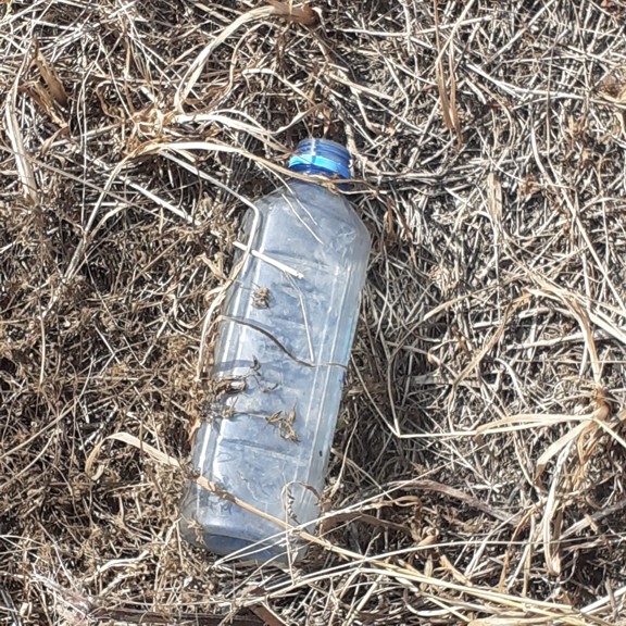 recycle4.me: original_20230704_163553.jpg