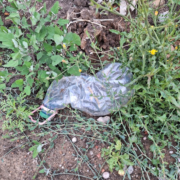 recycle4.me: original_20230807_203034.jpg