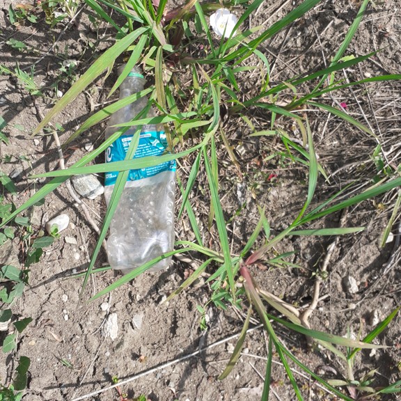 recycle4.me: original_20230704_161901.jpg